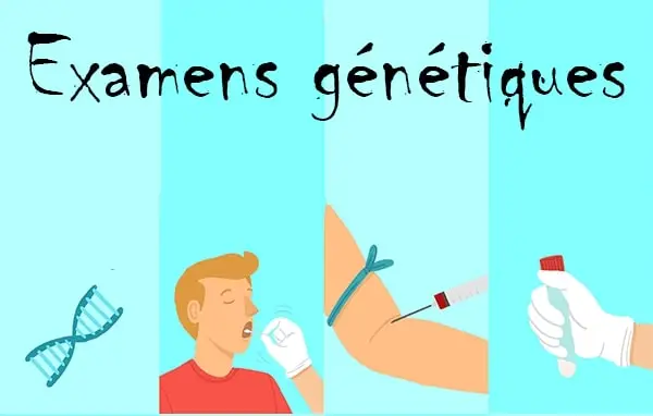 examens génétique